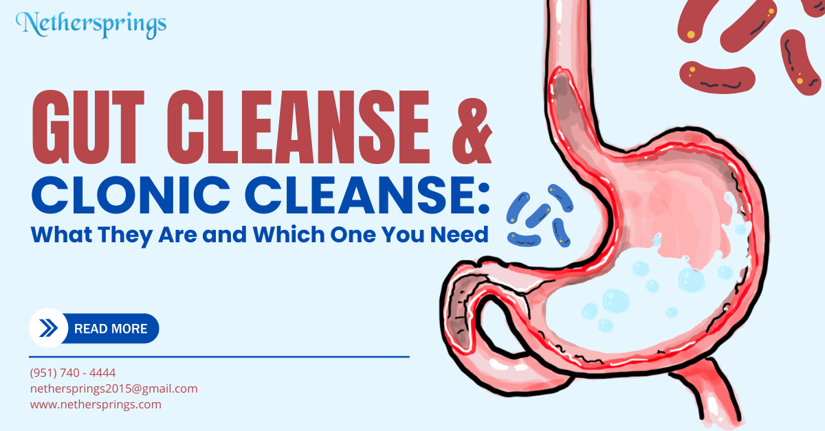 Gut Cleanse vs Colonic Cleanse